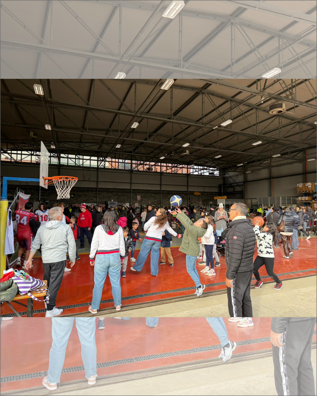 Ringra IPFDLS 12